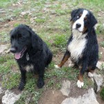 Oso and Atlas